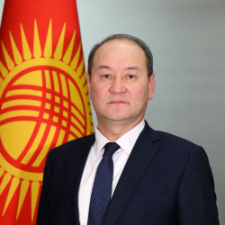 Жайнак Үсөн уулу Жогорку Кеңештин Төрагасынын санариптештирүү маселелери боюнча кеңешчиси болуп дайындалды