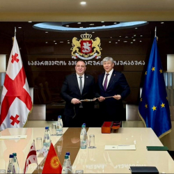 Максат Мамытканов Грузиянын мамлекеттик органдарынын жетекчилери жана ишкер чөйрөсүнүн өкүлдөрү менен жолугушту