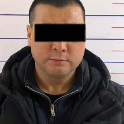 Ири суммадагы алдамчылык фактысына шектелген жаран колго түштү