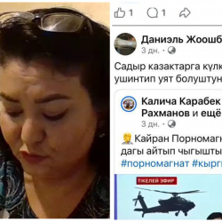 “Даниель Жоошбаев”  аттуу фейк аккаунтка байланышы бар журналист Алтынай Арстанбекова кармалды