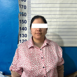 Германияга виза жасап берем деп... Сүлүктүдө алдамчылыкка шектүү кармалды