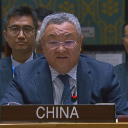 Китай призвал к укреплению сотрудничества для решения вопросов, связанных с химическим оружием в Сирии