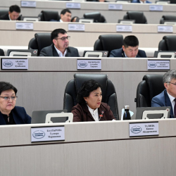 Жогорку Кеңеш кызыкчылыктардын кагылышы боюнча мыйзамга өзгөртүүлөрдү кабыл алды