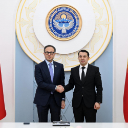 Марлен Маматалиев ТүркПАнын Башкы катчысы Рамил Хасанды кабыл алды