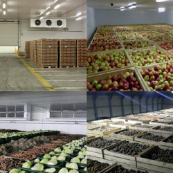 Өлкө аймагында жыл башынан бери 3 ишкана жана 1 логистикалык борбор ачылды