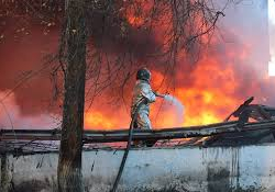 Өлкө аймагында бир суткада 11 өрт кырсыгы катталды