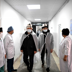 Адылбек Касымалиев Ысык-Көл облусундагы бир катар медициналык мекемелердин абалы менен таанышты