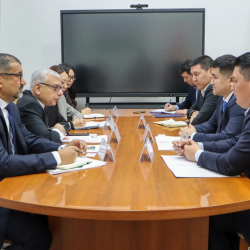 Медербек Туманов Кыргызстандагы Ага Хан Өнүктүрүү Уюмунун дипломатиялык өкүлү менен жолугушту