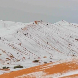 В Сахаре выпал снег — седьмой раз за 40 лет