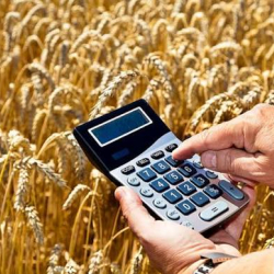 Айыл чарба тармагын колдоого 2 млрд сомдон ашык каражат бөлүндү