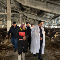 Министр Акунбеков эпизоотиялык абалды болтурбоо чараларын өз көзөмөлүнө алды