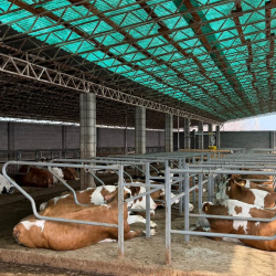 В Чуйской области запускается современная молочная ферма по шведским технологиям