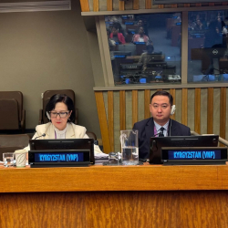 2030-жылга чейин гендердик теңчилик боюнча Кыргызстандын жетишкендиктери БУУда тааныштырылды