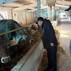 Эрлист Акунбеков Красная Речка айылындагы фермерлик чарбанын ишмердүүлүгү менен таанышты