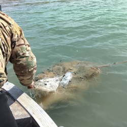 Ысык-Көлдөн 400 метр мыйзамсыз балык уулоочу тор чыгарылды