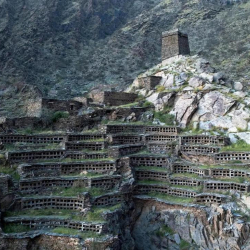 Кылымдарды көргөн аарылар уюгу аталган Аль-Харфи шаары тууралуу аңыздар