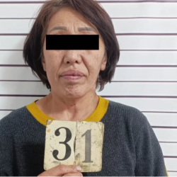 Чүйдө күйөөсүн бычактап өлтүрүүгө шектелген аял кармалды