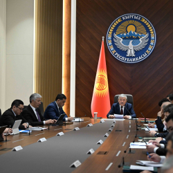 Өкмөттө жаңы жүз жылдык реформалар талкууланды