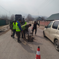 Өлкө аймагында аң-чөнөктөрдү жамоо иштери кызуу жүрүүдө