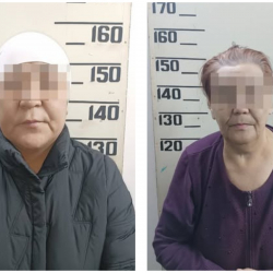 Ош шаарында күрөөкана ээлери кармалды