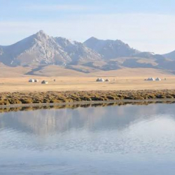 Соң-Көлгө 4 миллиондон ашык балык чабагы коё берилди