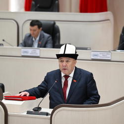 Депутаты Улугбек Ормонов, Бактыбек Чойбеков, Мавлюда Калбердиева и Алтынкуль Мурзакимова принесли присягу