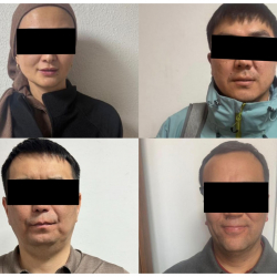 ИИМ: «Кыргызнефтегаз» ААКтагы коррупция фактысы боюнча шектүүлөр кармалды