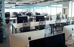 Кыргызстанда чоңдор үчүн акысыз IT-мектеп ачылат