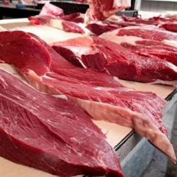 Эт кластерин өнүктүрүүгө 1,5 млрд сом каржыланат