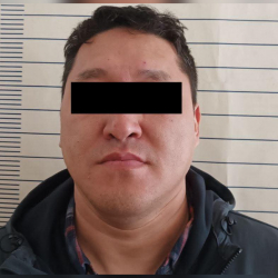 Чүйдө ири суммадагы алдамчылык фактысына шектелген жаран кармалды