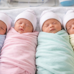 ВИДЕО - Президент Садыр Жапаров төрт эм төрөлгөн үй-бүлөгө батир белек кылды