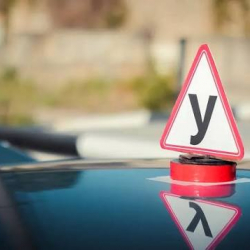 Айдоочуларды даярдоо боюнча окутуунун стандарттары бекитилди