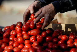 Динамика продовольственного рынка: Сравнительный анализ изменений цен в Кыргызстане, Казакстанеи России