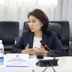 Эл өкүлдөрү үй-бүлөлүк зомбулуктун алдын алуу маселесине арналган тегерек столго катышты