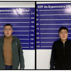 Ошто студентти тоноого шектүүлөр кармалды