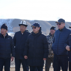 Министр Нарында: Мал ооруларынын жайылышына жол берилбейт