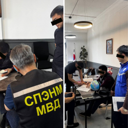 ИИМ жарандарды Данияга жана Германияга ишке орноштурууда бузууларды аныктады