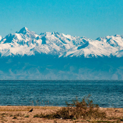 Ысык-Көлдө айлана-чөйрөгө келтирилген зыян үчүн 17,4 млн сом өндүрүлдү