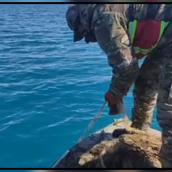 Суучулдар Ысык-Көлдөн 1700 метр тор алып чыгышты