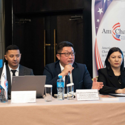 Салык кызматы Америкалык соода палатасы уюштурган бизнес-жолугушууга катышып, салык мыйзамдары боюнча маалымат берди