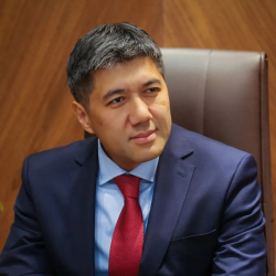 Мелис Тургунбаев үй камагына чыгарылды