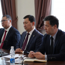 Кыргызстан Кытай компаниясы менен дрондорду колдонуу боюнча кызматташтыкты өнүктүрүүдө