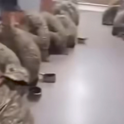 ӨКМнын социалдык тармакта тараган 