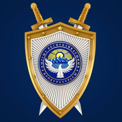 Прокуратура органдары жетимдердин укуктарын коргоо боюнча чараларды көрүүдө