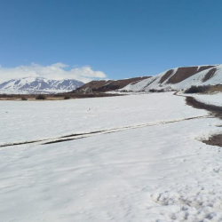 Нарындагы 2 га жер мамлекетке кайтарылды