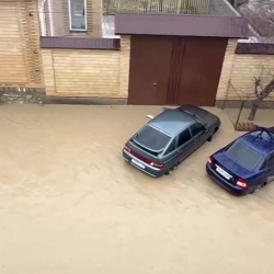 В Чечне ввели режим ЧС из-за непогоды