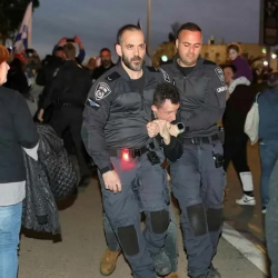 Израилде согушка каршы нааразылык акциялары болуп, полиция катышуучуларды кармады