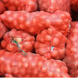 Казакстандан келген 25 тонна пияз кайра кайтарылды