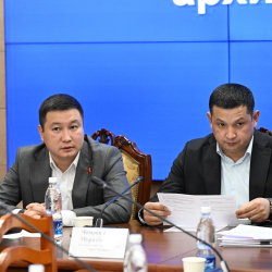 Тармактык комитет 500 кВ аба электр линиясын куруу боюнча макулдашууну ратификациялоо жөнүндө мыйзам долбоорун жактырды