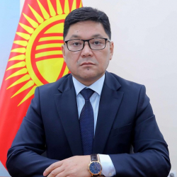 ЦИК досрочно прекратил полномочия депутата БГК Жаныбека Асанбекова